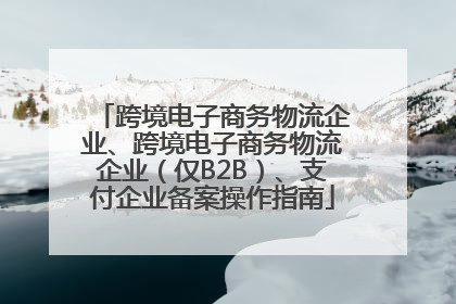 跨境电子商务物流企业、跨境电子商务物流企业（仅B2B）、支付企业备案操作指南