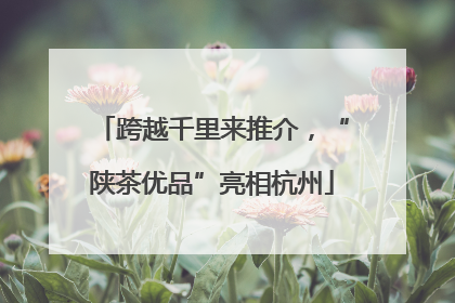 跨越千里来推介，“陕茶优品”亮相杭州