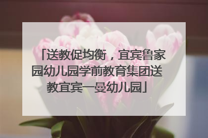 送教促均衡，宜宾鲁家园幼儿园学前教育集团送教宜宾一曼幼儿园