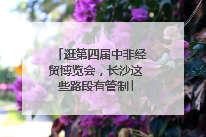逛第四届中非经贸博览会，长沙这些路段有管制