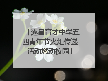 遂昌育才中学五四青年节火炬传递活动燃动校园