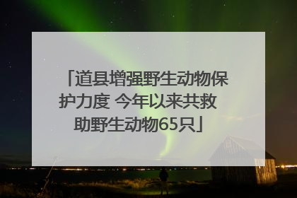 道县增强野生动物保护力度 今年以来共救助野生动物65只