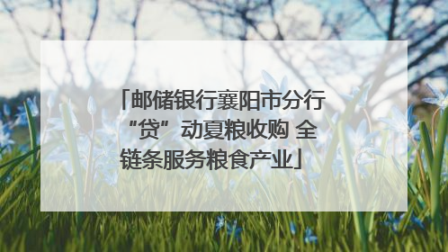 邮储银行襄阳市分行“贷”动夏粮收购 全链条服务粮食产业