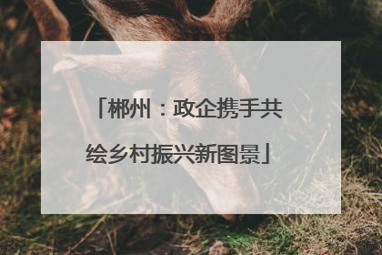 郴州：政企携手共绘乡村振兴新图景