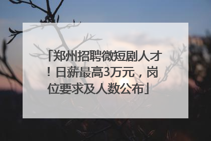 郑州招聘微短剧人才！日薪最高3万元，岗位要求及人数公布