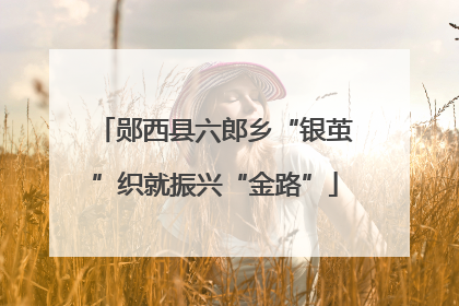 郧西县六郎乡“银茧”织就振兴“金路”