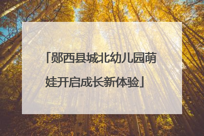 郧西县城北幼儿园萌娃开启成长新体验