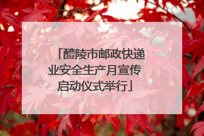 醴陵市邮政快递业安全生产月宣传启动仪式举行