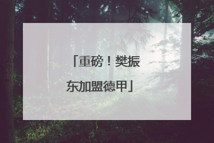 重磅！樊振东加盟德甲