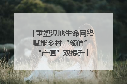 重塑湿地生命网络 赋能乡村“颜值”“产值”双提升