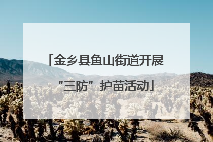 金乡县鱼山街道开展“三防”护苗活动