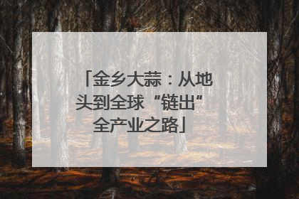 金乡大蒜：从地头到全球“链出”全产业之路