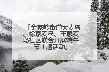 金家岭街道大麦岛、徐家麦岛、王家麦岛社区联合开展端午节主题活动