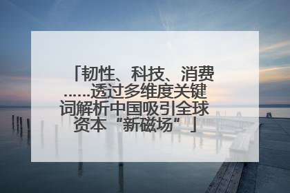 韧性、科技、消费……透过多维度关键词解析中国吸引全球资本“新磁场”