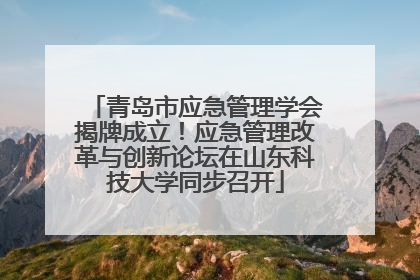 青岛市应急管理学会揭牌成立！应急管理改革与创新论坛在山东科技大学同步召开