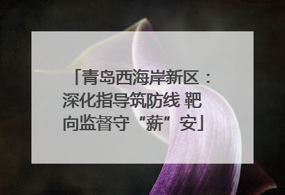 青岛西海岸新区：深化指导筑防线 靶向监督守“薪”安