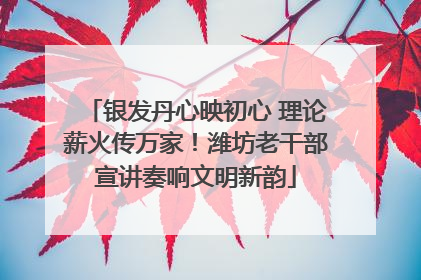 银发丹心映初心 理论薪火传万家！潍坊老干部宣讲奏响文明新韵