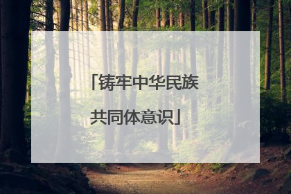 铸牢中华民族共同体意识