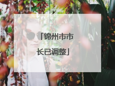 锦州市市长已调整