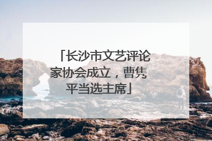 长沙市文艺评论家协会成立，曹隽平当选主席