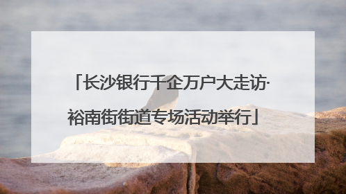 长沙银行千企万户大走访·裕南街街道专场活动举行