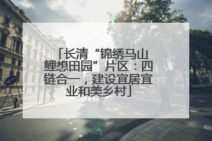 长清“锦绣马山 鲤想田园”片区：四链合一，建设宜居宜业和美乡村