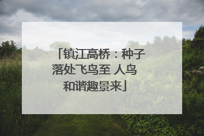 镇江高桥：种子落处飞鸟至 人鸟和谐趣景来