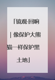 镜观·回响｜像保护大熊猫一样保护黑土地