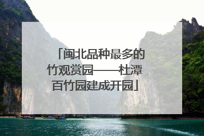 闽北品种最多的竹观赏园——杜潭百竹园建成开园