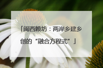 闽西赖坊：两岸乡建乡创的“融合方程式”