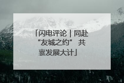 闪电评论｜同赴“友城之约” 共襄发展大计