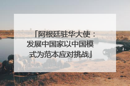 阿根廷驻华大使：发展中国家以中国模式为范本应对挑战