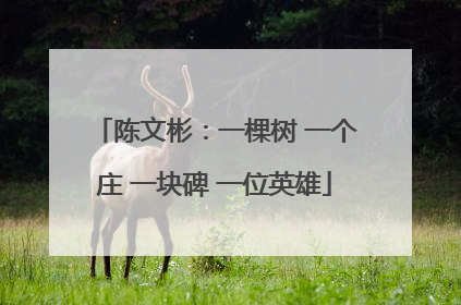 陈文彬：一棵树 一个庄 一块碑 一位英雄