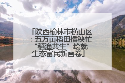 陕西榆林市横山区：五万亩稻田插秧忙 “稻渔共生”绘就生态富民新画卷