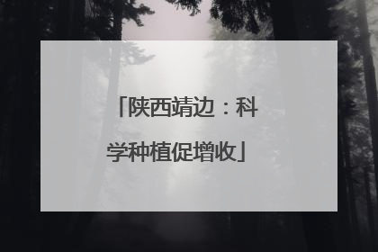陕西靖边：科学种植促增收