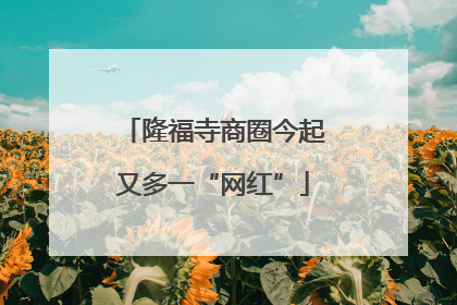 隆福寺商圈今起又多一“网红”