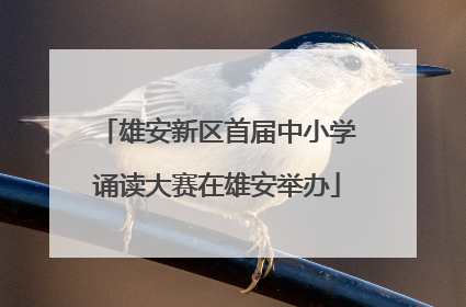 雄安新区首届中小学诵读大赛在雄安举办