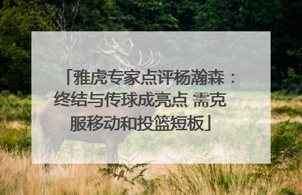 雅虎专家点评杨瀚森：终结与传球成亮点 需克服移动和投篮短板