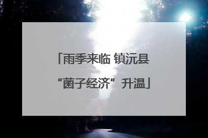 雨季来临 镇沅县“菌子经济”升温
