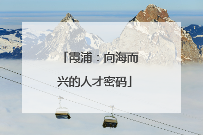 霞浦：向海而兴的人才密码