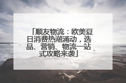 顺友物流：欧美夏日消费热潮涌动，选品、营销、物流一站式攻略来袭
