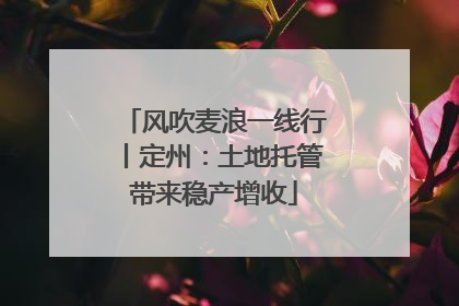 风吹麦浪一线行丨定州：土地托管带来稳产增收