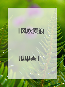 风吹麦浪 瓜果香