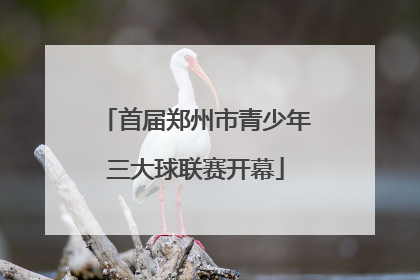 首届郑州市青少年三大球联赛开幕