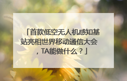 首款低空无人机感知基站亮相世界移动通信大会，TA能做什么？