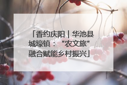 香约庆阳｜华池县城壕镇：“农文旅”融合赋能乡村振兴