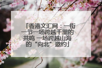 香港文汇网：一街一节一场跨越千里的共鸣 一场跨越山海的“向北”邀约