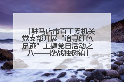 驻马店市直工委机关党支部开展“追寻红色足迹”主题党日活动之八——鏖战独树镇