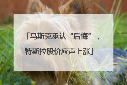 马斯克承认“后悔”，特斯拉股价应声上涨