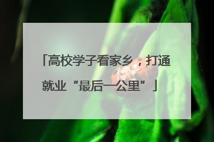 高校学子看家乡，打通就业“最后一公里”